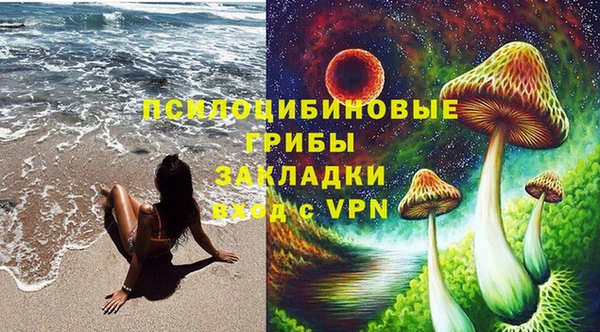 PSILOCYBIN Гусев